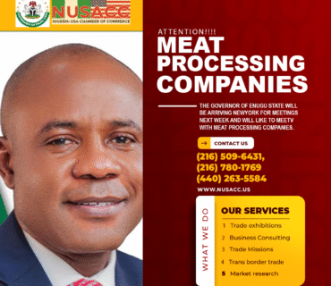 The Governor of Enugu State to Visit the United States